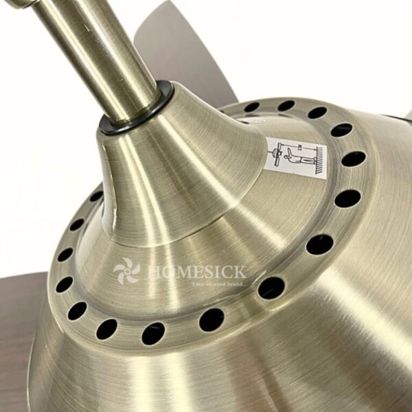 QUẠT TRẦN HOMESICK 656B