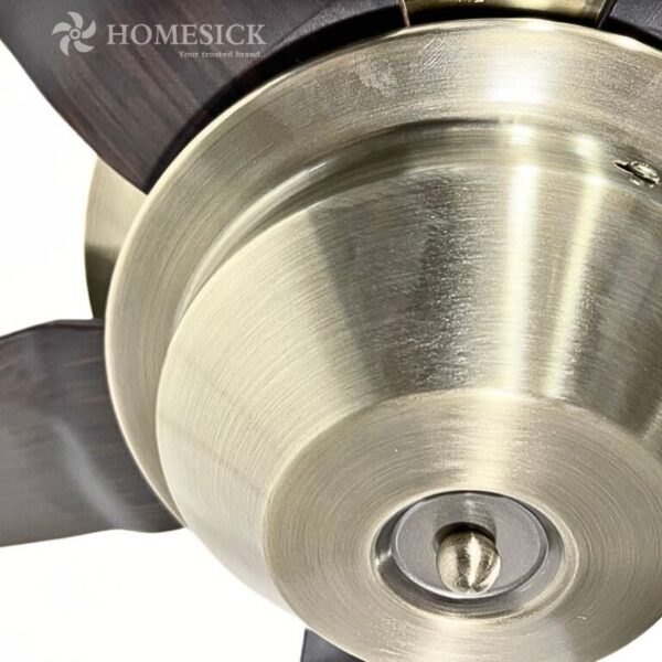 QUẠT TRẦN HOMESICK 656B